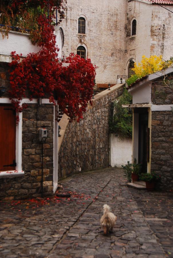 Villa Aleka Samothráki 외부 사진